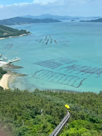 해남 맛집 베스트10 현지인 숨겨진 맛집_18