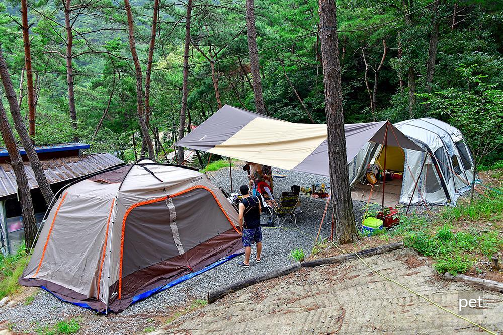 곡성-꿈꾸는캠핑장