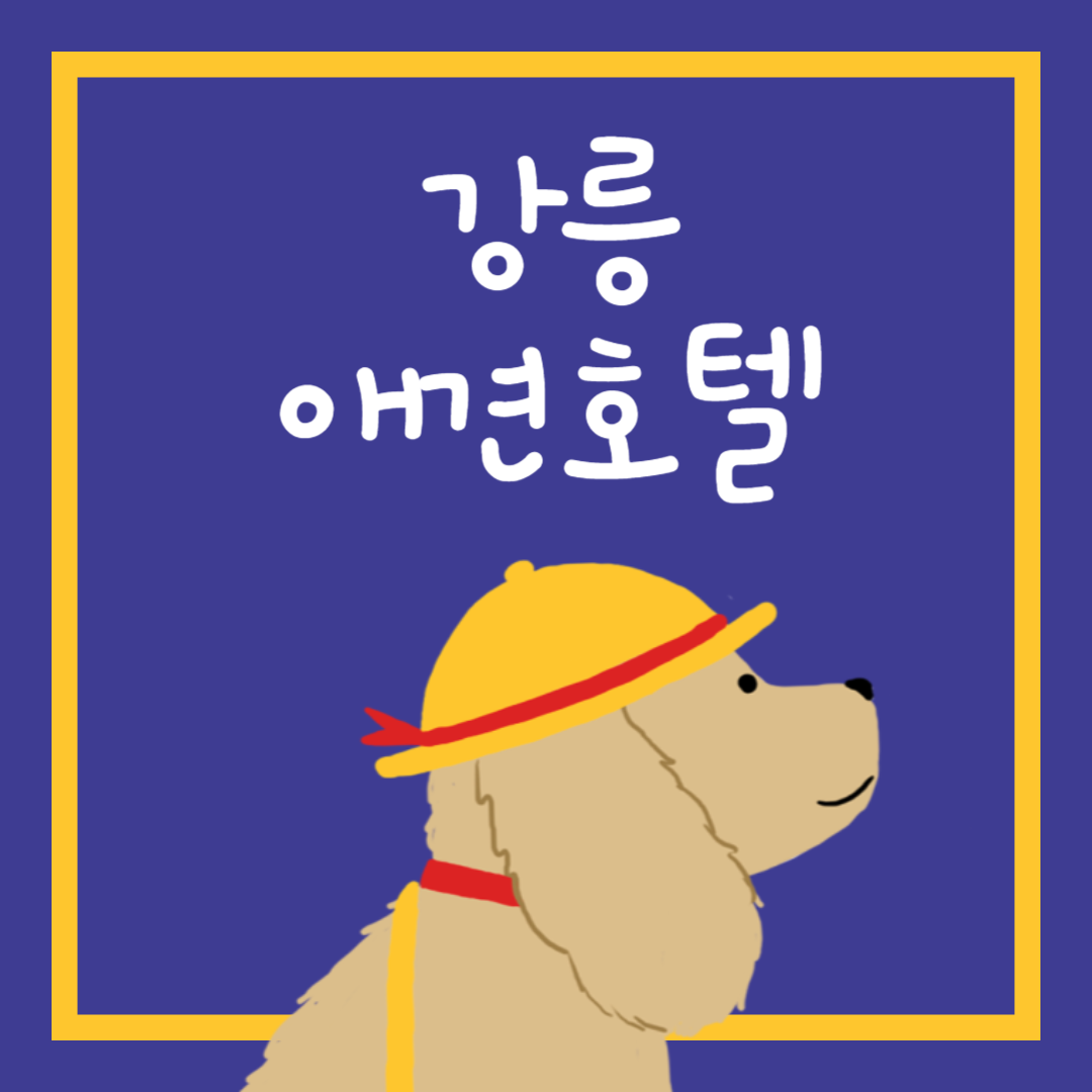 강릉 애견호텔