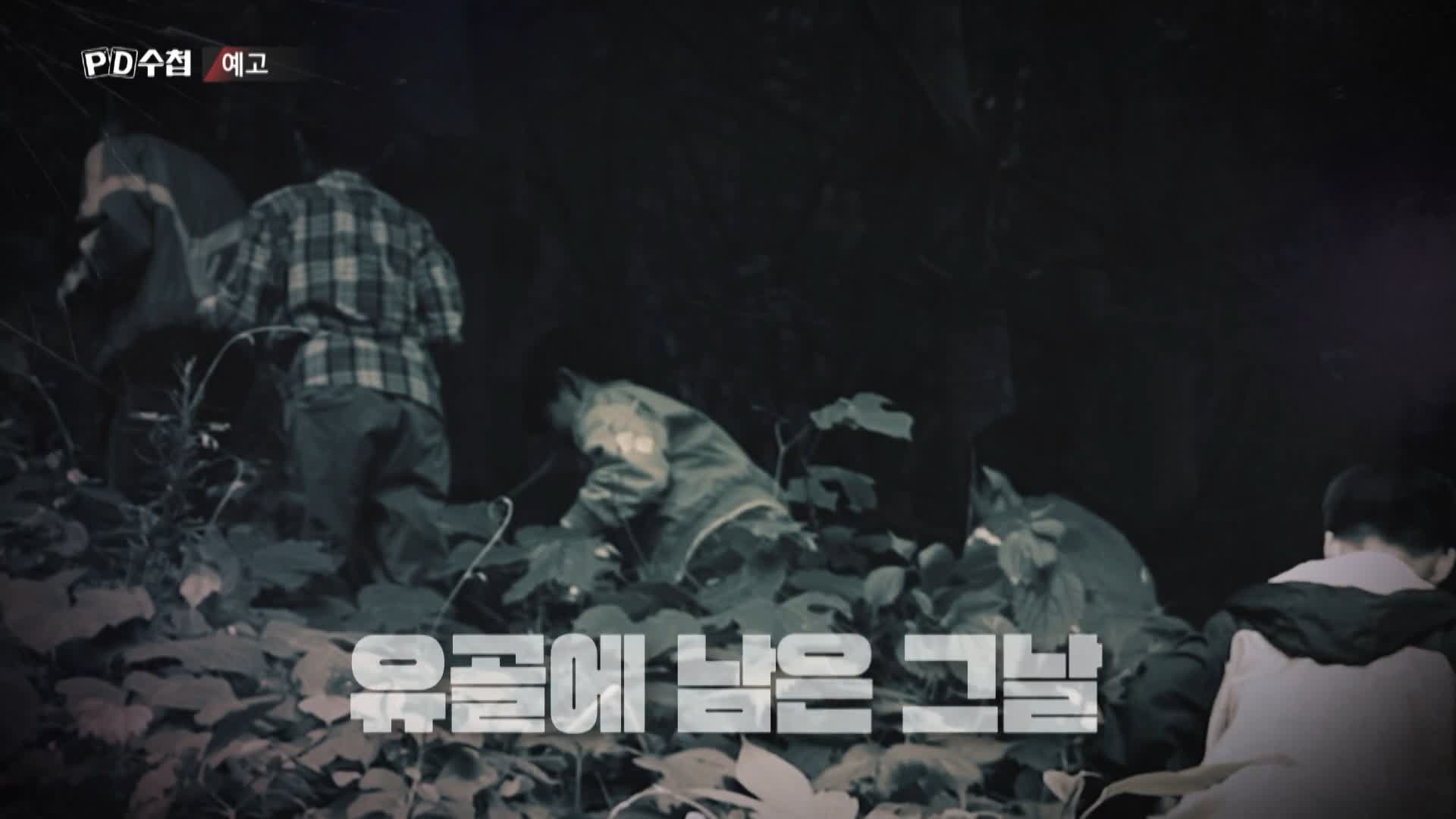 피디수첩 개구리소년 와룡산에 묻힌 진실 오늘방송 다시보기