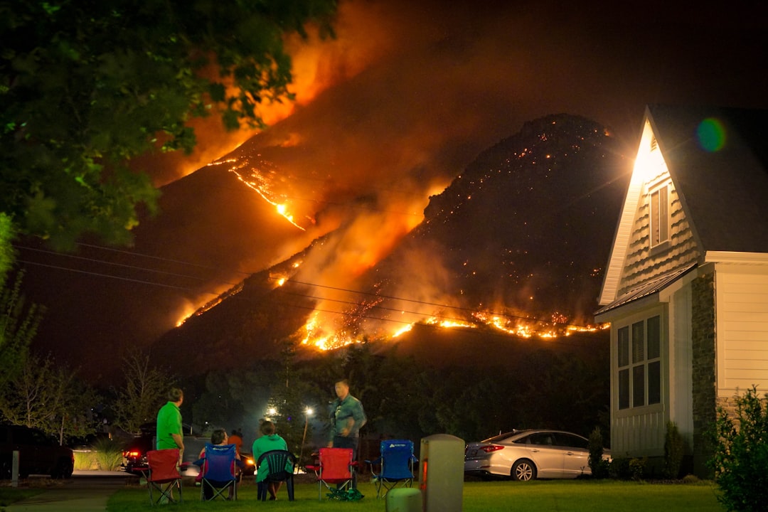 Wildfire