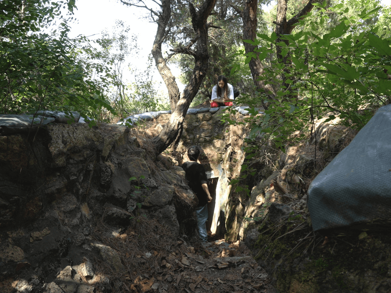 5월 개봉예정 영화