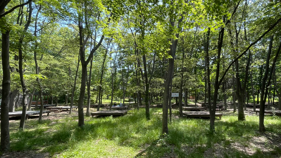 양재(매헌)시민의 숲 나들이 음식먹는장소