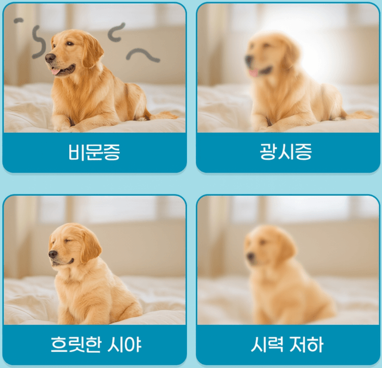 망막-열공-증상