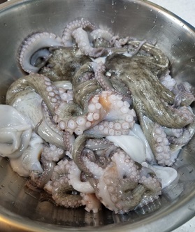 싱싱한-돌문어