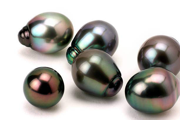 타히티 진주 흑진주