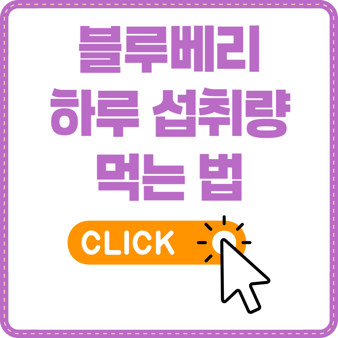 블루베리 하루 섭취량