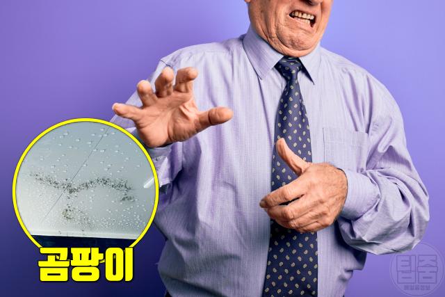 몸냄새 질병 자가진단 체취 곰팡이냄새 간질환