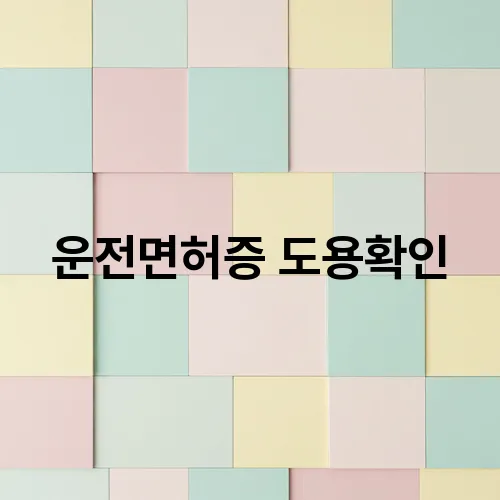 운전면허증 도용확인