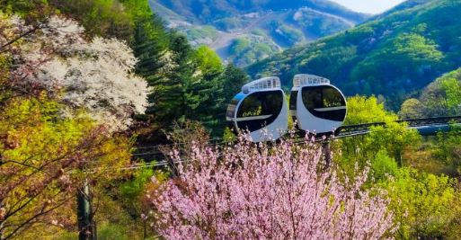 2026 화담숲 봄시즌 예약방법 시즌 기간 모노레일 입장료 꿀팁 정리