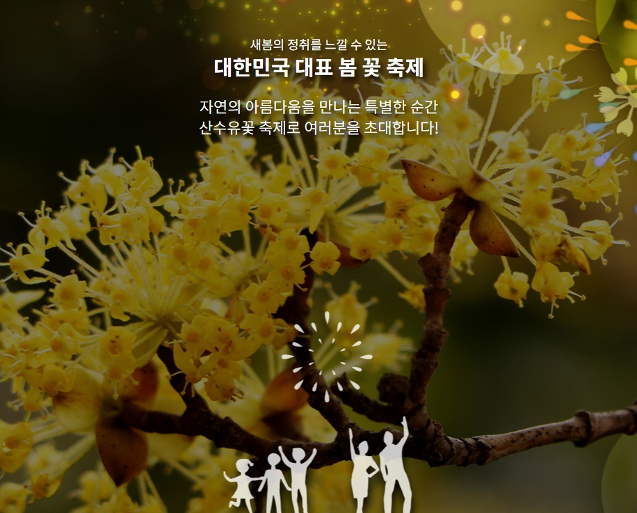 2026 구례 산수유축제 총정리