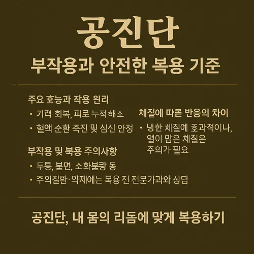 공진단 부작용과 안전한 복용 기준 썸네일
