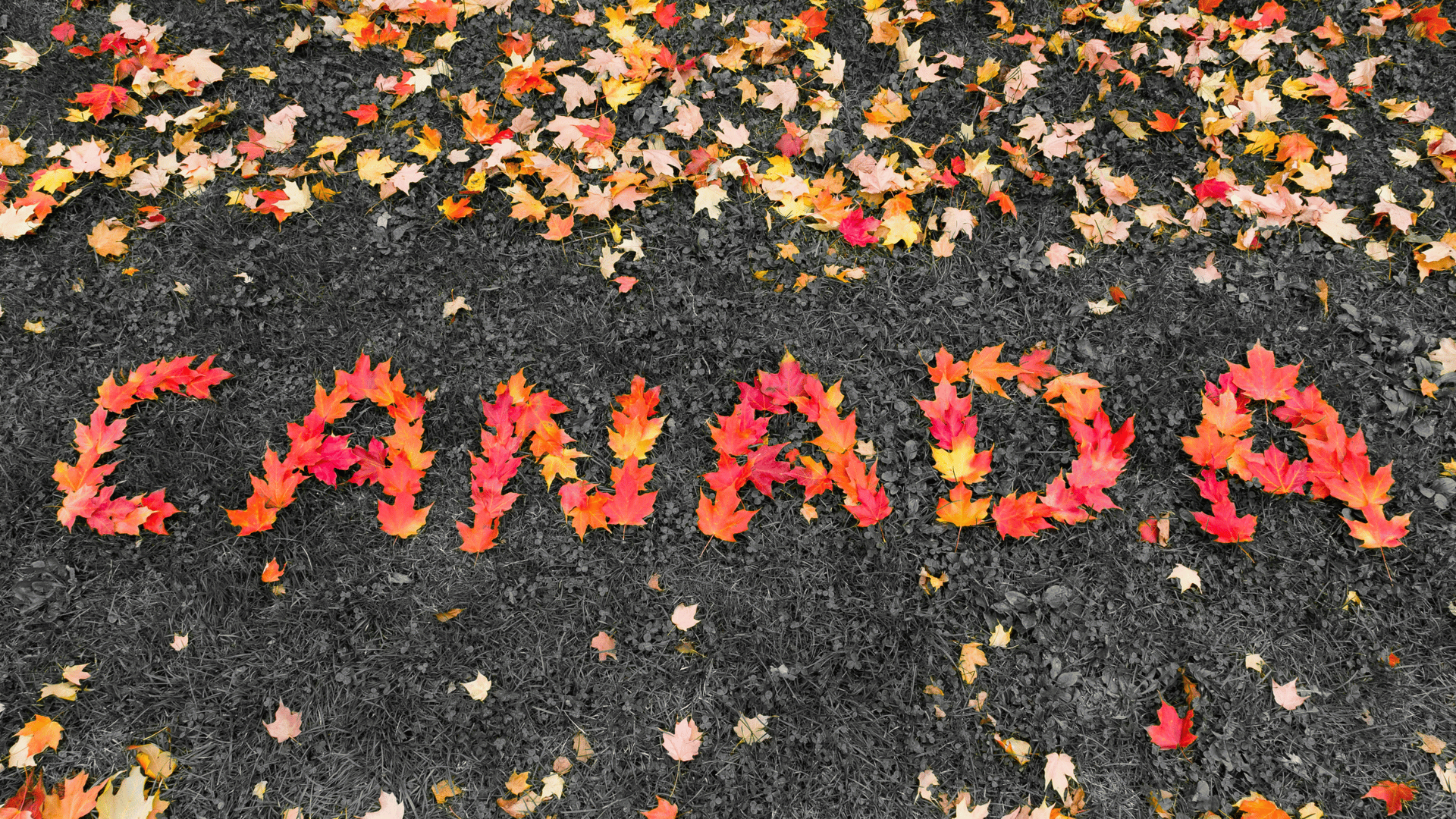 나라별 공항에서 꼭 알아야 할 꿀팁