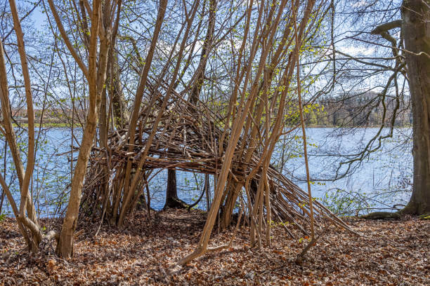 타인·야생동물 침입 방지용 은폐·경보기·신호 시스템