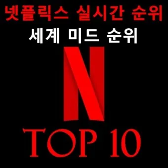 넷플릭스 순위 미드 일드 베스트 10_5