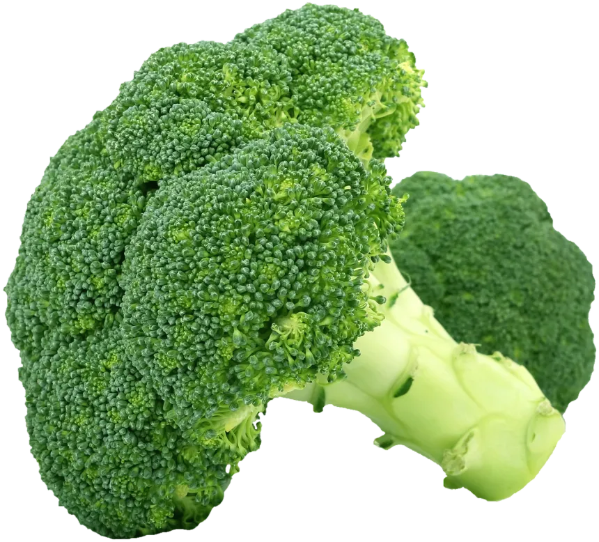 갑상선 브로콜리