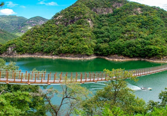 제천시 경제활력지원금 20만원 신청방법