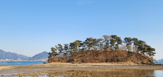 사천 비토섬 캠핑장