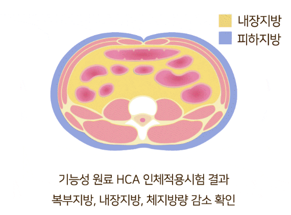 리서처스 투비컷