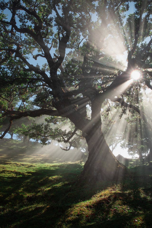 날씨 좋은 날 맑은 날씨