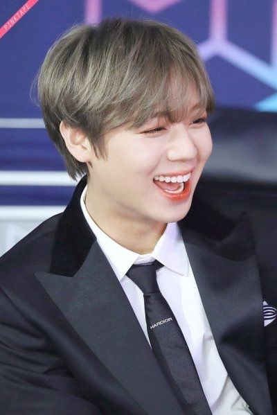 워너원 고화질 사진 워너원 고화질 사진