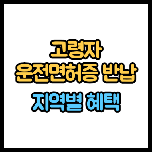 고령자 운전면허증 반납장소 지역별 반납혜택