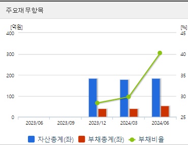 아이언디바이스 재무지표