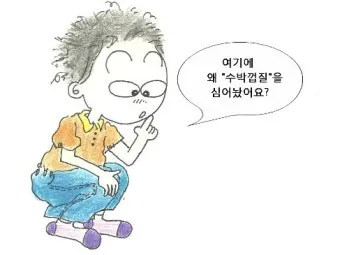 대구 수박껍질 음식물 일반쓰레기 과태료 피하는 법_22
