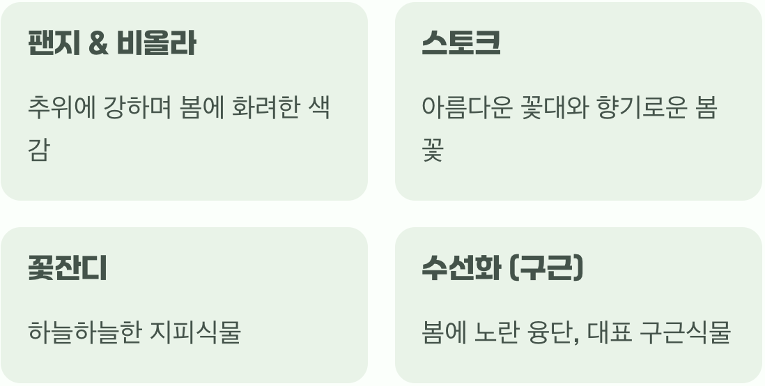 추천하는 가을 식재 꽃 종류