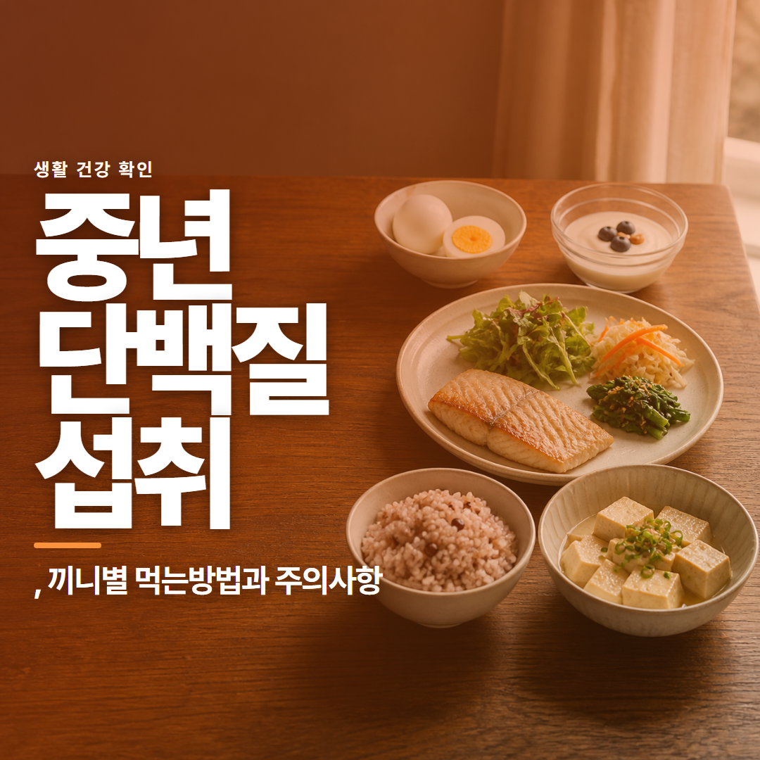 중년 단백질 섭취 · , 끼니별 먹는방법과 주의사항