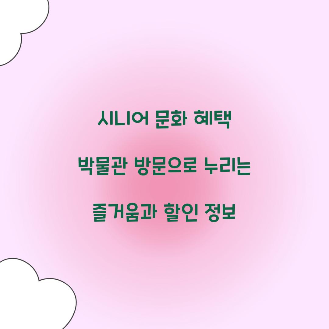 시니어 문화 혜택 박물관