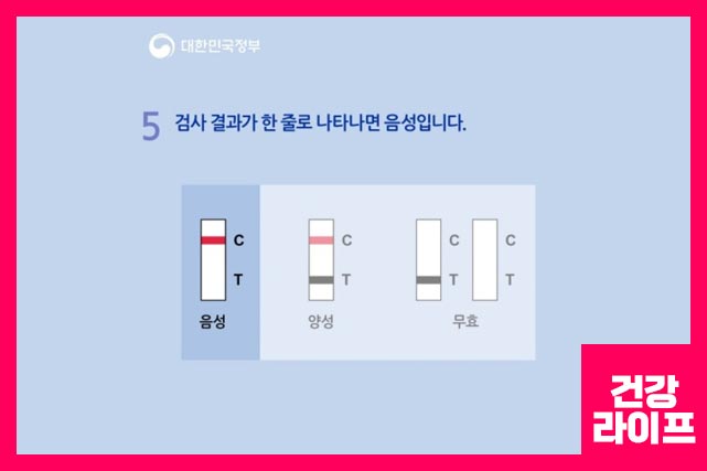 검사 결과가 한 줄로 나타나면 음성, 두줄이면 양성