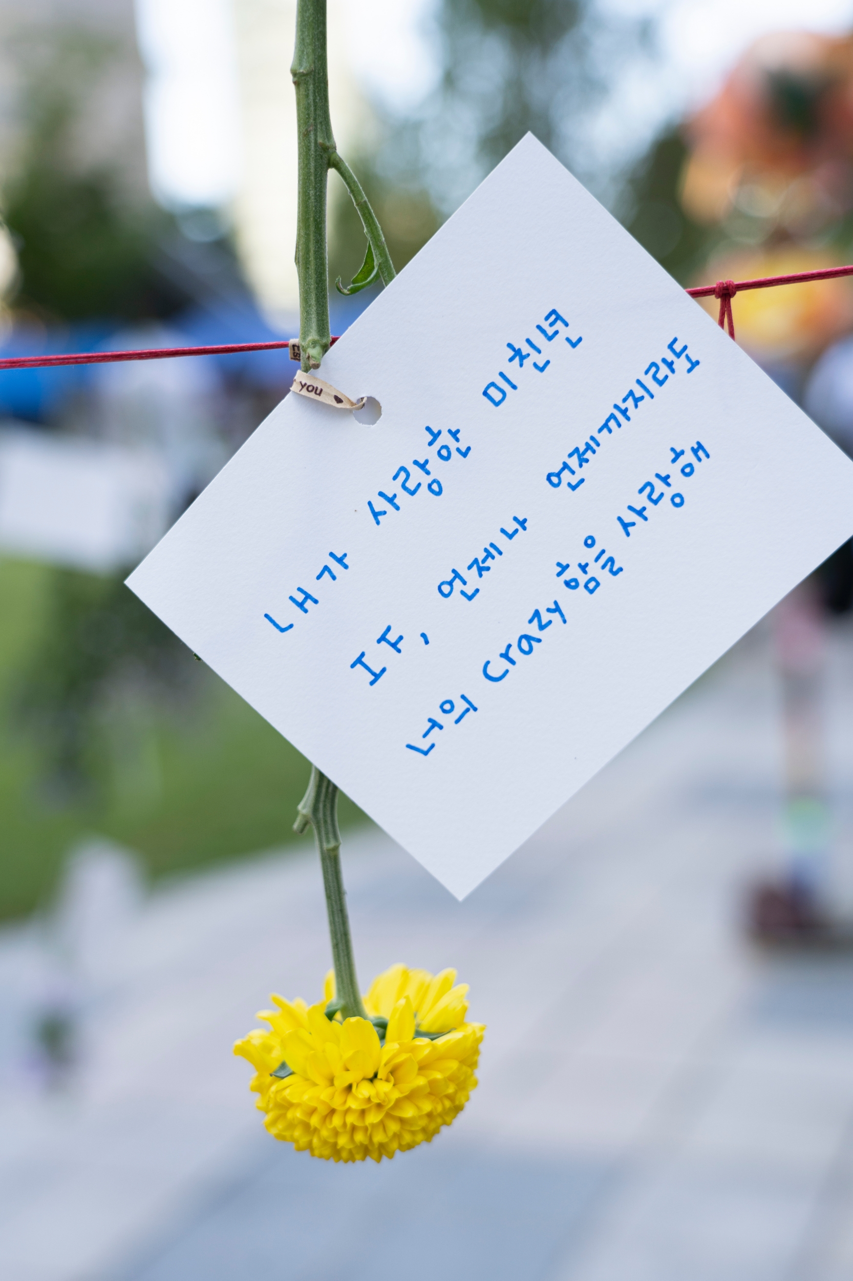 내가 사랑한 미친년
IF&#44; 언제나 언제까지라도
너의 Crazy함을 사랑해