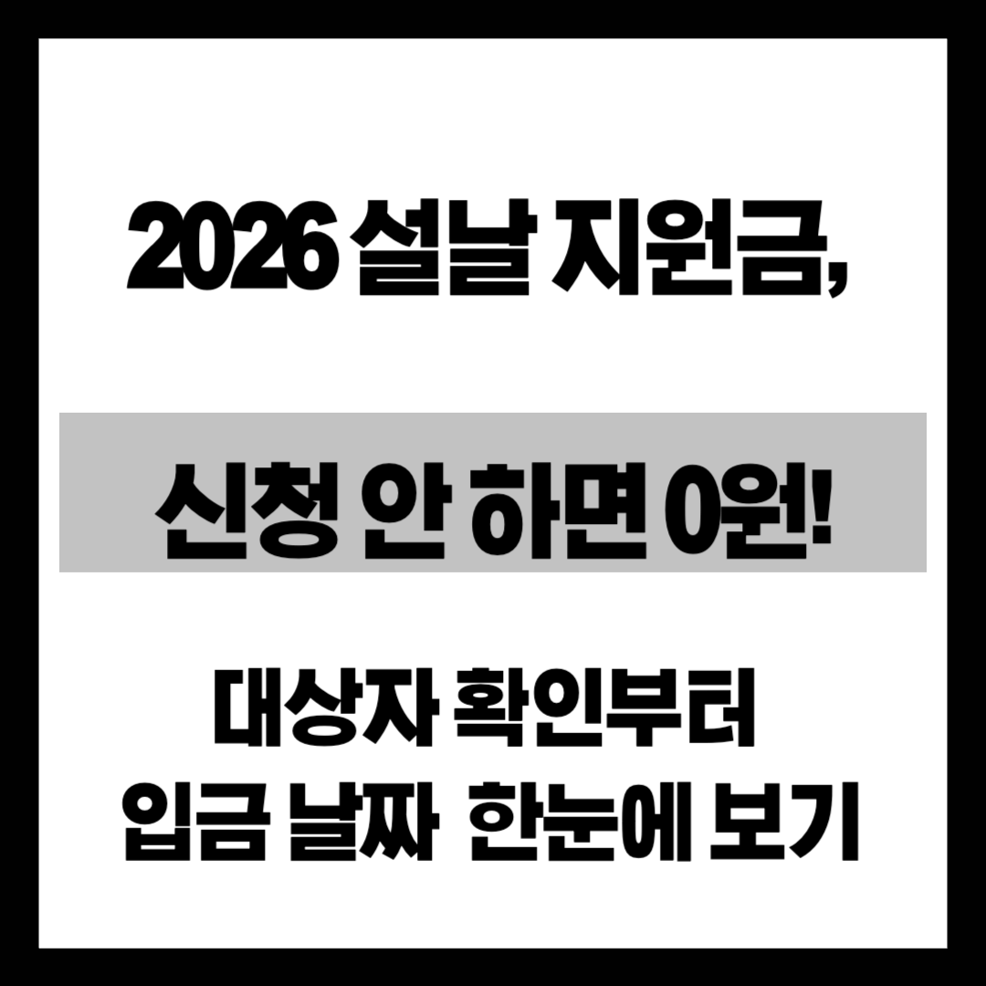 "최대 00만 원? 놓치면 나만 손해" 2026년 설날 민생안정지원금 신청 및 지급일 총정리