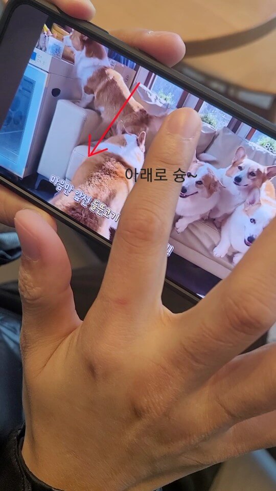 유튜브-화면전환