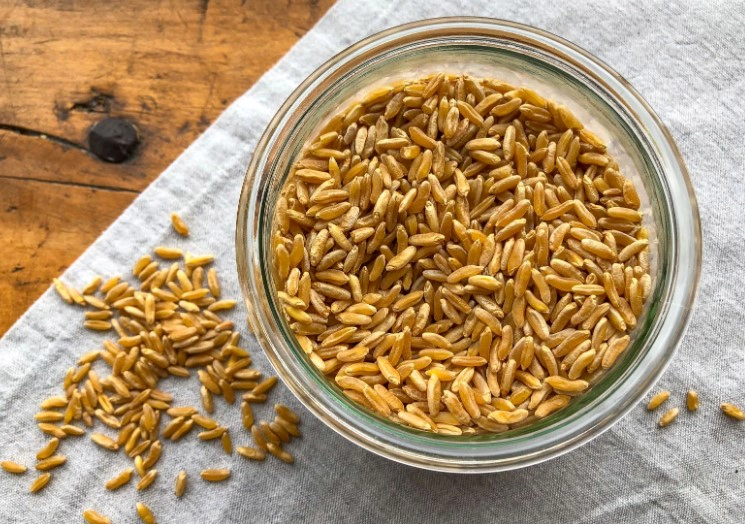 카무트쌀효능 11가지