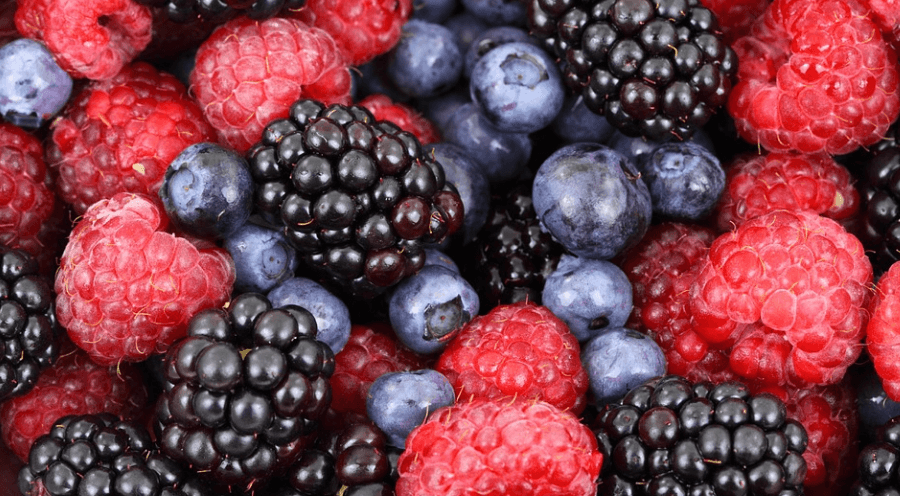 베리 종류들을 모아 놓았다