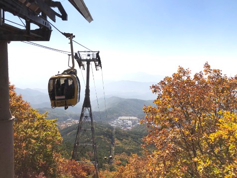 팔공산 단풍축제