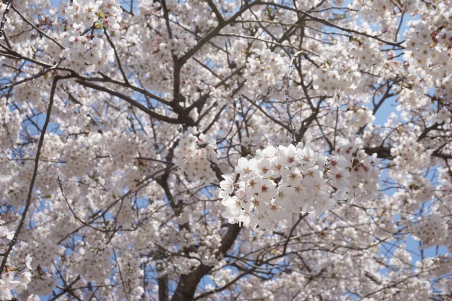 당진 골정지 해안 트레킹 서해안 절경 여행 충남 여행 맛집 숙소 추천