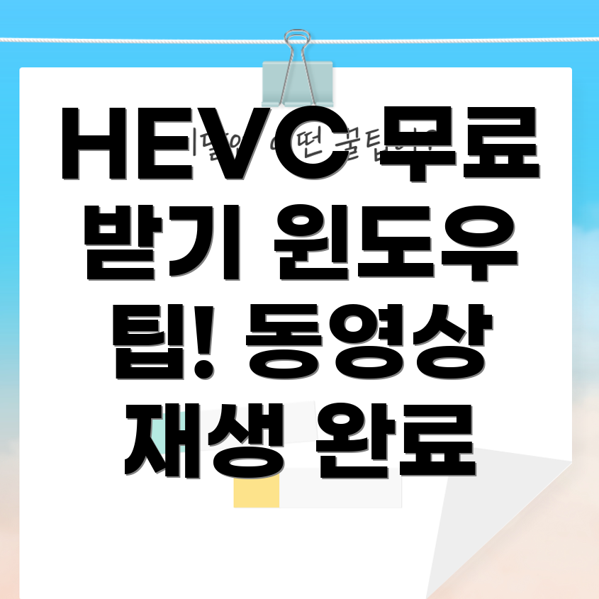 HEVC 코덱 다운로드