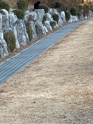 걷기와 달리기 병행 운동