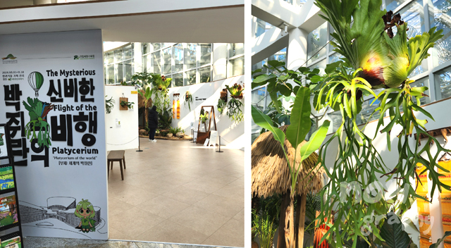 국립세종수목원