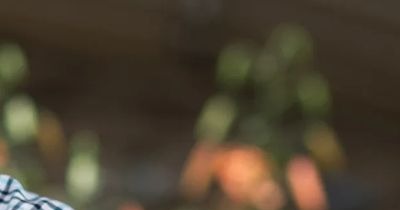 혈액검사 crp정상수치