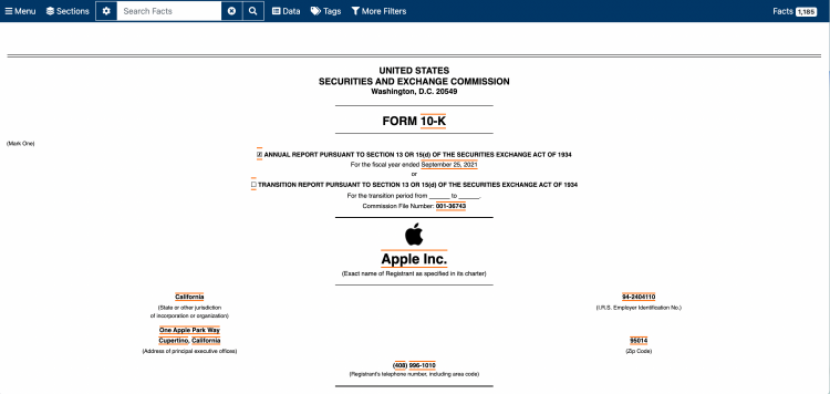 애플 연간 보고서