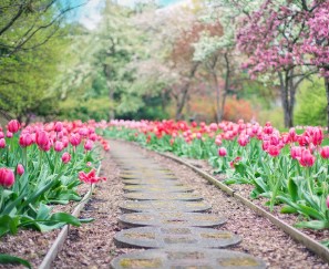 입춘대길 붙이는 시간 방법