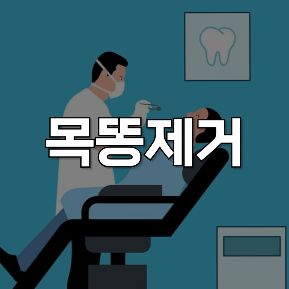 목똥 제거 완벽 가이드 &ndash; 원인부터 예방법까지!