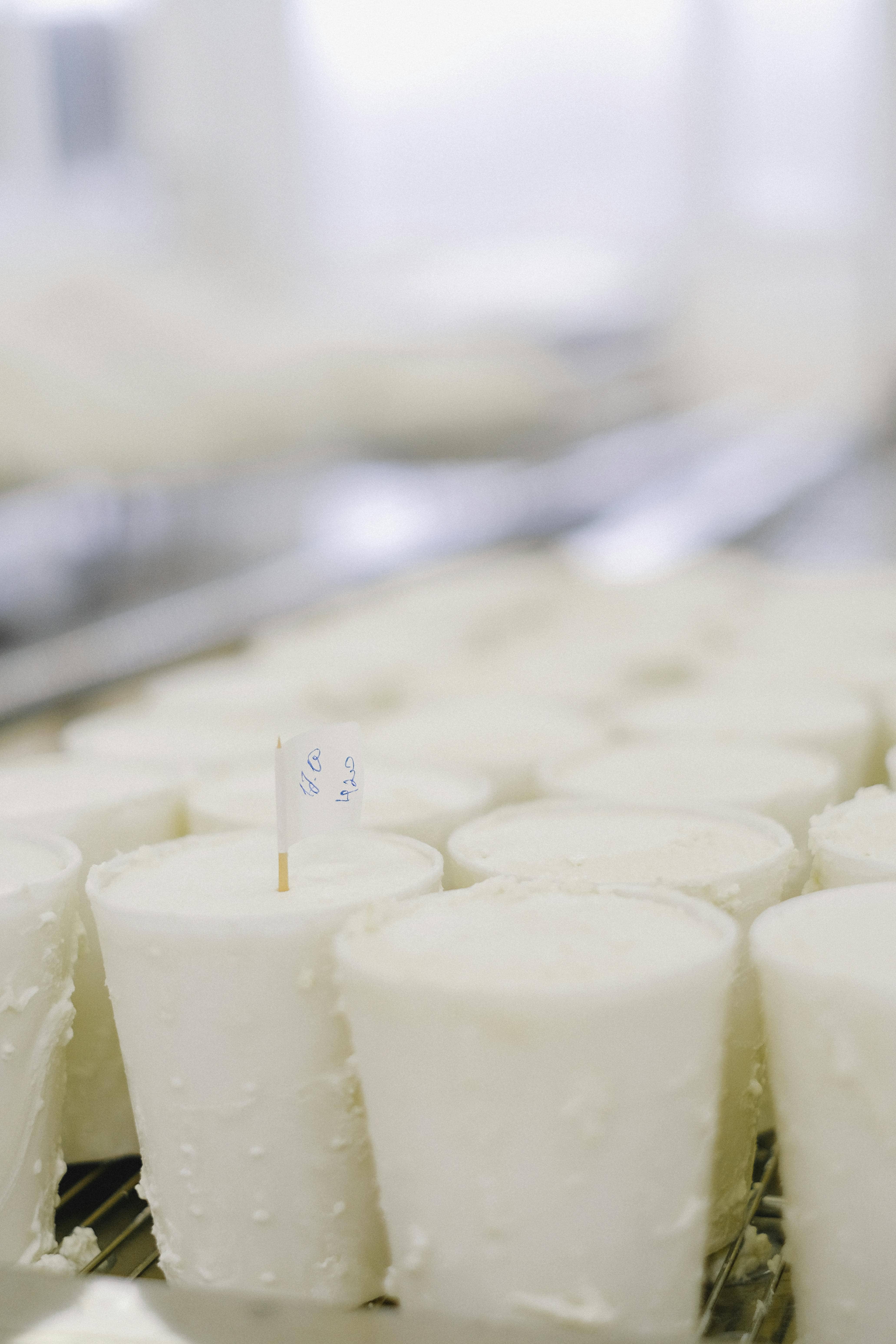 장 건강을 위한 최적의 유산균 섭취법 – 공복 vs 식후, 어느 쪽이 좋을까?