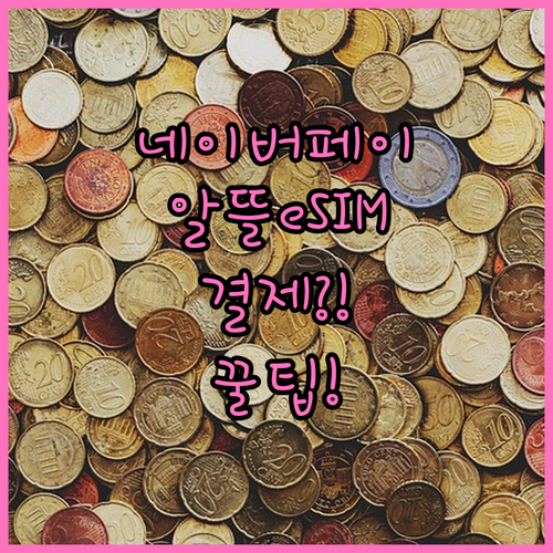 네이버페이로 알뜰폰 eSIM 결제하는..