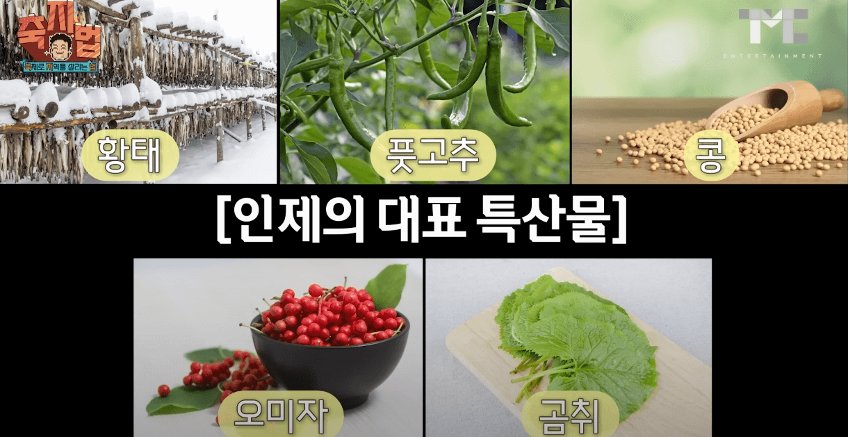 인제 캠프레이크 백종원 음식라인업