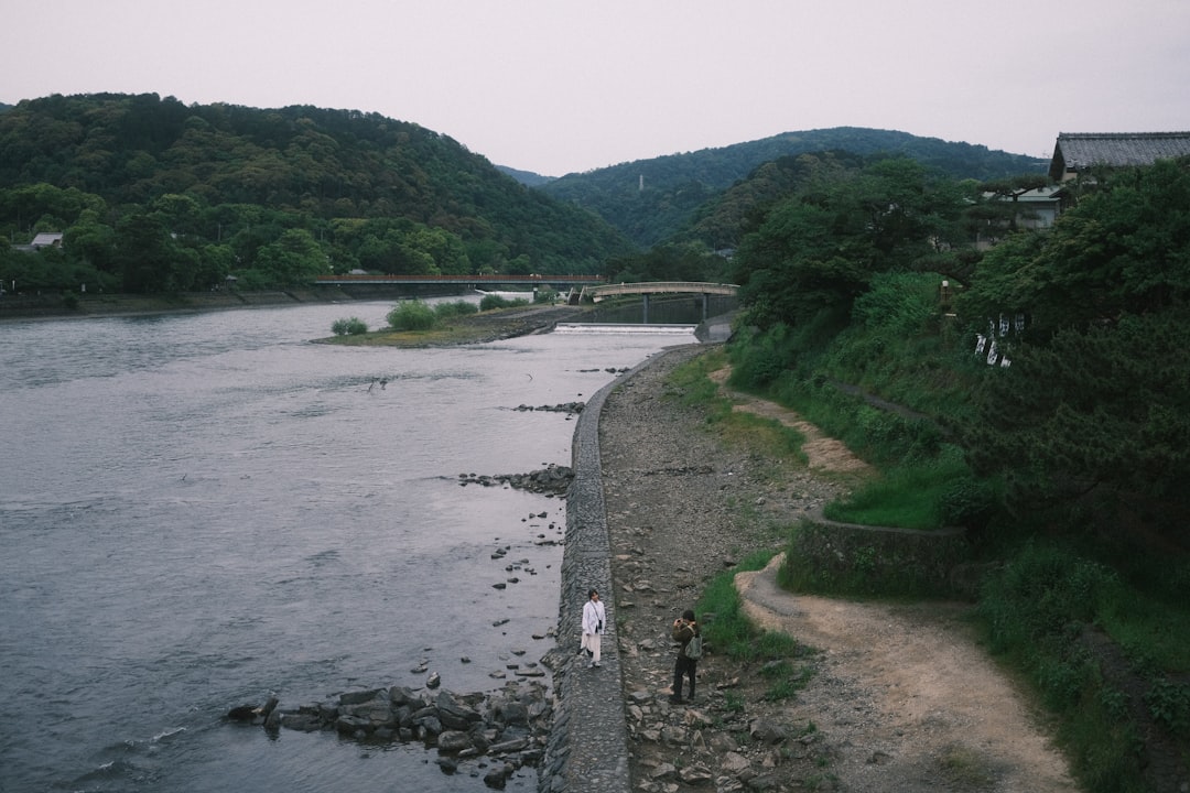 당진천 범람 원인과 피해 상황 총정리